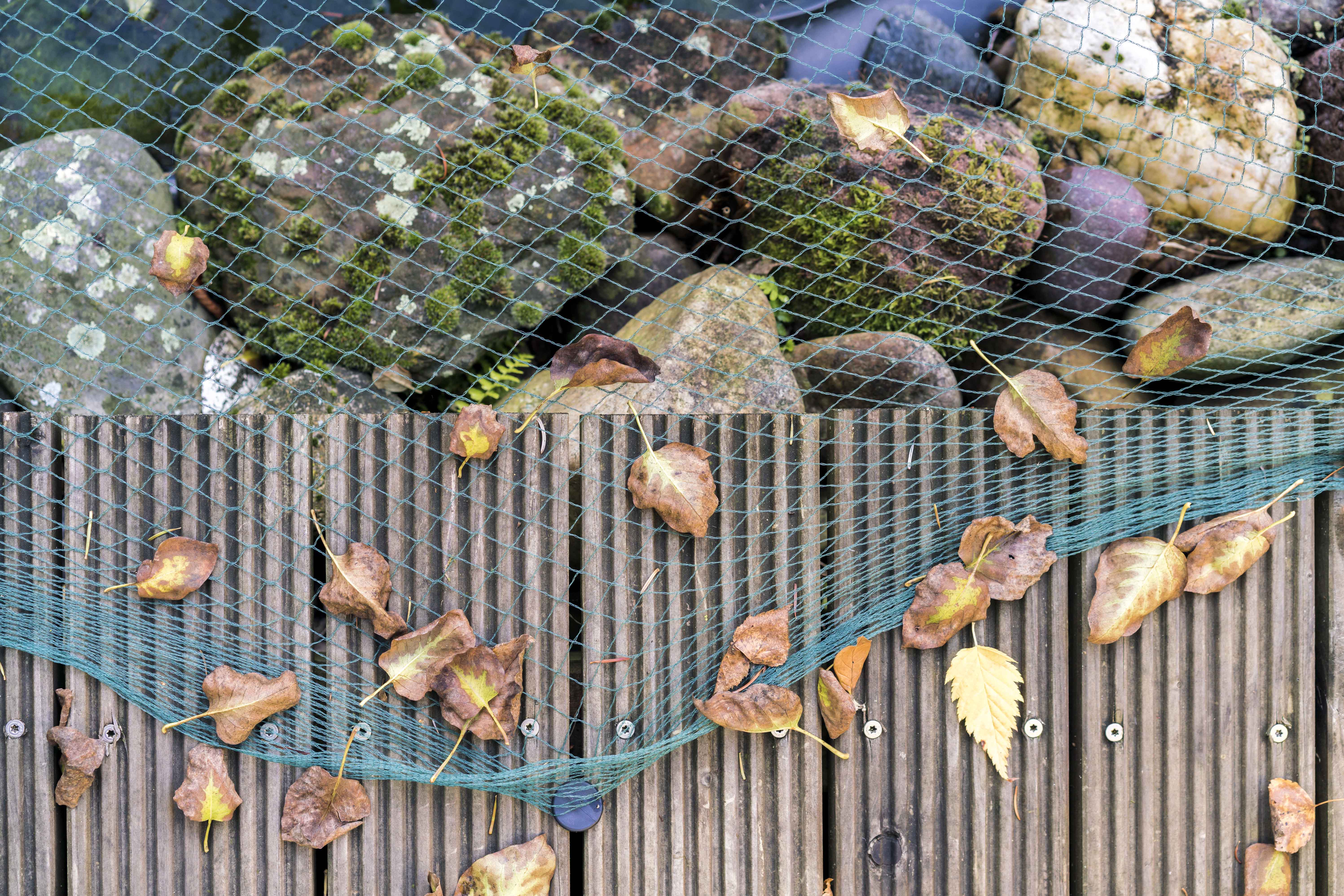 Aquagart® Teichnetz 5m, 10m breit grün Teichabdecknetz besonders engmaschig: Maschenweite 12mm x 12mm Laubnetz dunkelgrün Vogelabwehrnetz Reihernetz robust verschiedene Größen 